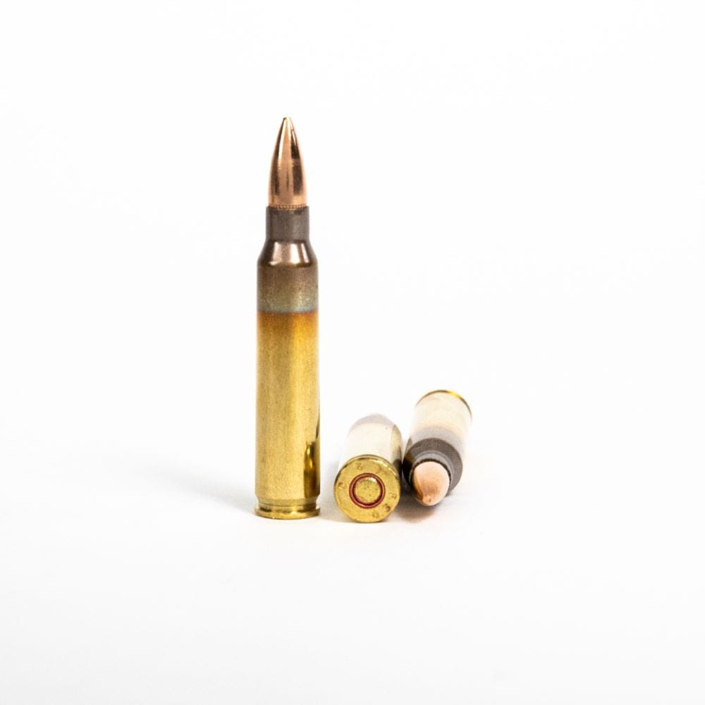 5.56x45mm – 55 Grain FMJ – PMC (5.56X) – 1000 Rounds